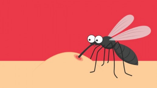 Tại sao muỗi luôn đốt bạn? Không phải do nhóm máu mà là do 4 "miếng mồi" này trên người bạn