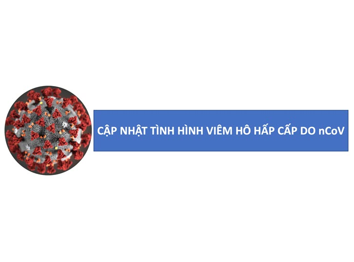 Tình hình dịch bệnh COVID-19 tại Thành phố Hồ Chí Minh đến ngày 24/02/2020