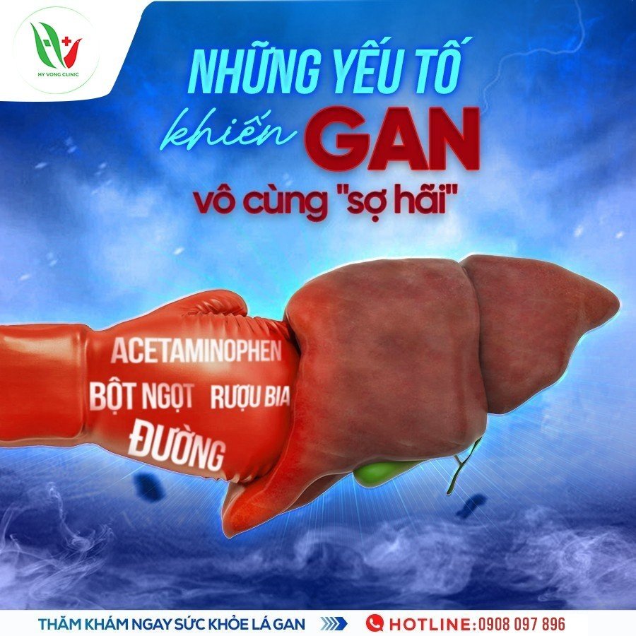 NHỮNG YẾU TỐ ẢNH HƯỞNG TỚI GAN