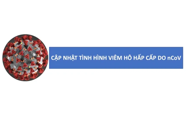 Tình hình dịch bệnh COVID-19 tại Thành phố Hồ Chí Minh đến ngày 24/02/2020