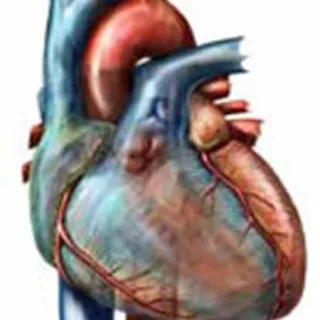 Để bảo vệ trái tim