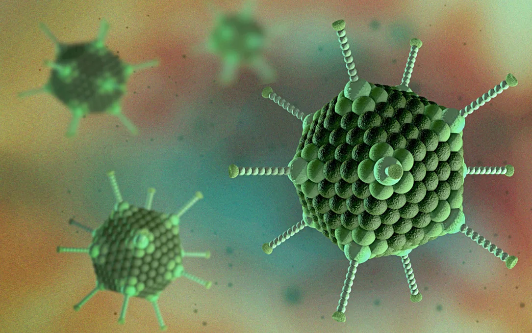 Số ca mắc bệnh do virus Adeno có xu hướng tăng mạnh