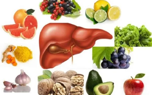Gan nhiễm mỡ độ 2 có nguy hiểm không và cách điều trị