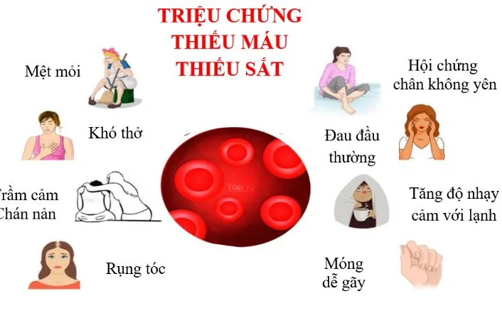 DẤU HIỆU CỦA THIẾU MÁU DO THIẾU SẮT VÀ TÁC HẠI CỦA BỆNH THIẾU MÁU