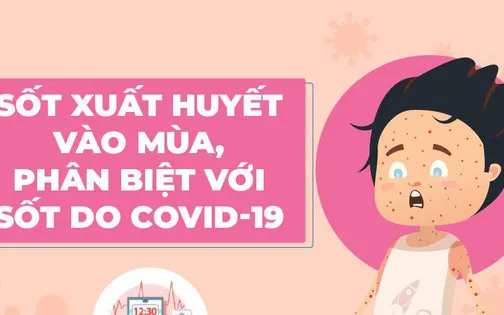 Phân biệt sốt xuất huyết và sốt do Covid-19 ở trẻ nhỏ