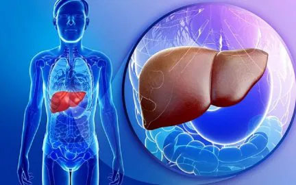 Viêm gan B mạn tính nguy hiểm hơn những gì bạn nghĩ