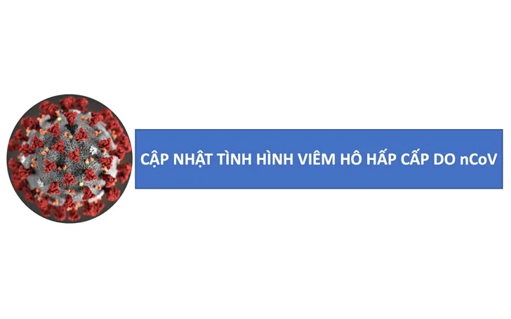Tình hình dịch bệnh COVID-19 tại Thành phố Hồ Chí Minh đến ngày 24/02/2020