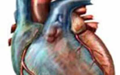 Để bảo vệ trái tim