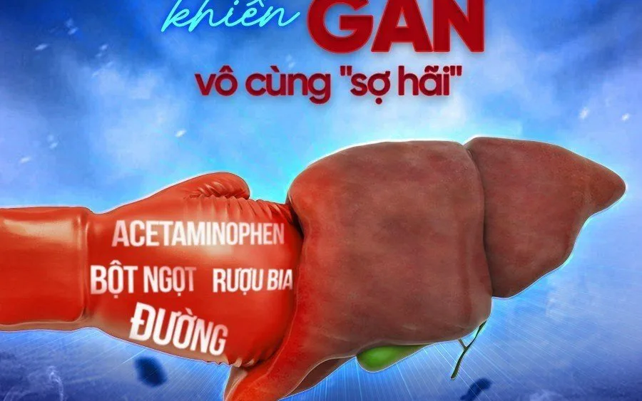 NHỮNG YẾU TỐ ẢNH HƯỞNG TỚI GAN
